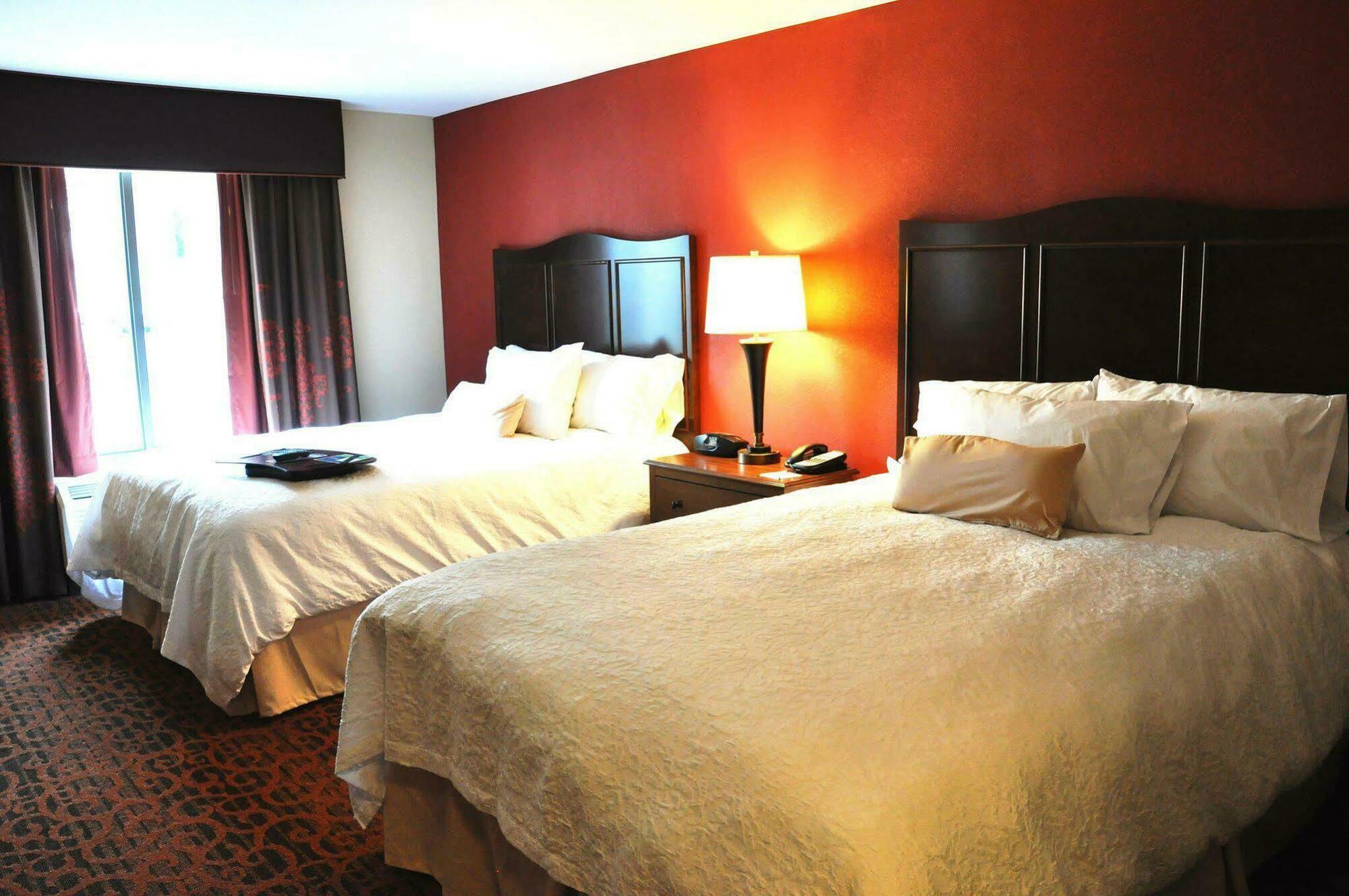 Hampton Inn & Suites Cincinnati / Uptown - University Area Zimmer foto